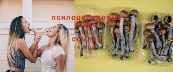 гашик Баксан