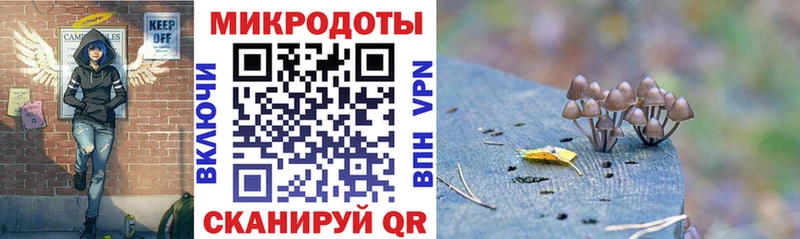 Галлюциногенные грибы Psilocybe  Нефтекумск 